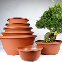 Bonsai Nursery Pots