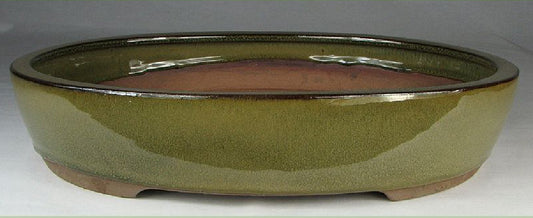 Olive Glazed Oval Bonsai Pot - 10"
