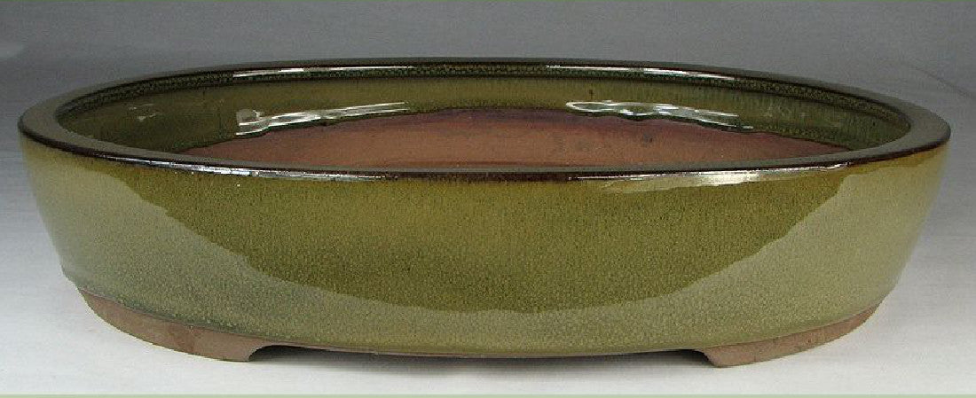Olive Glazed Oval Bonsai Pot - 13"