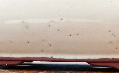 Cream Glazed Bonsai Pot - SECOND QUALITY