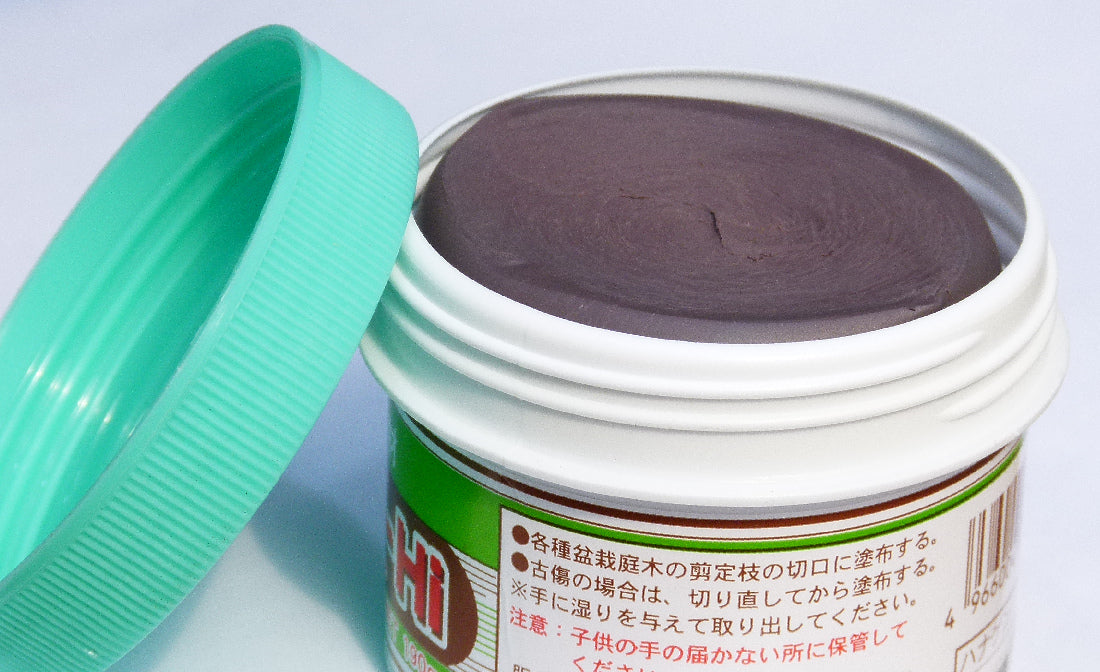 Japanese Bonsai Cut Paste Sealant - Conifer 