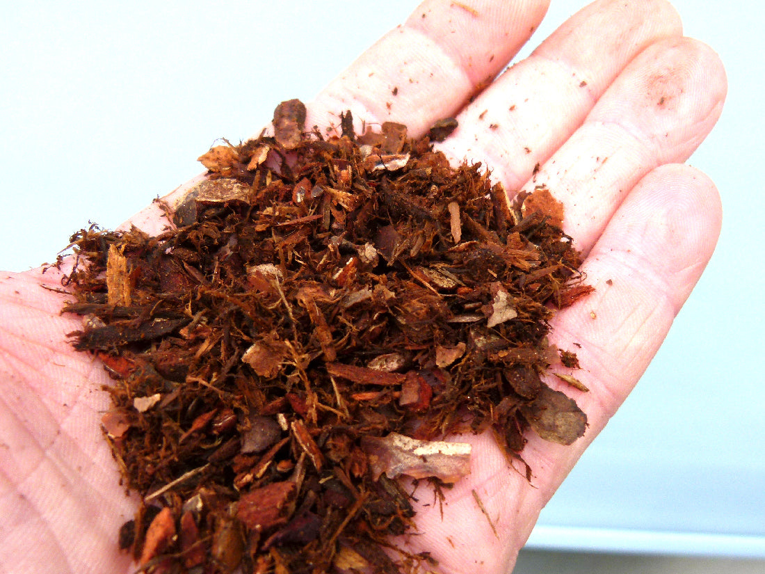 Chipped Pine Bark For Bonsai Tree Cultivation