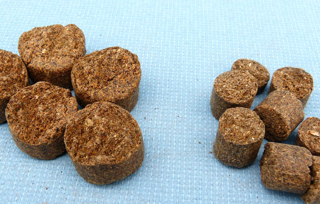 Comparison between regular (left) and small (right) rapeseed pellets.