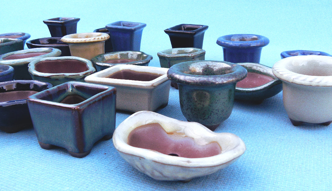 Japanese Miniature Bonsai & Accent Pots - Lucky Dip