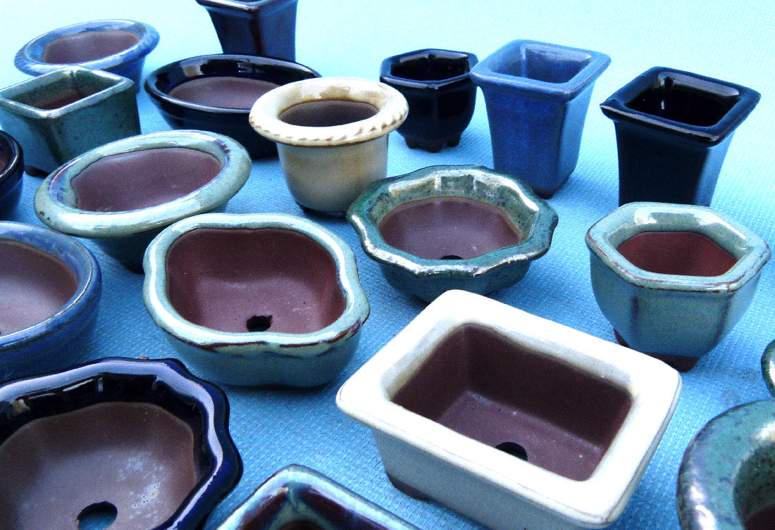 Japanese Miniature Bonsai & Accent Pots - Lucky Dip