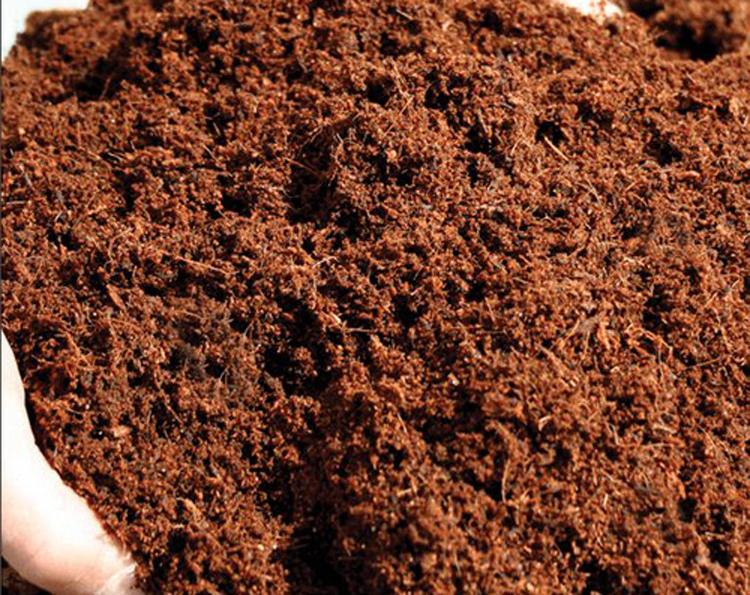 Coir Coco Peat - Growing Media 