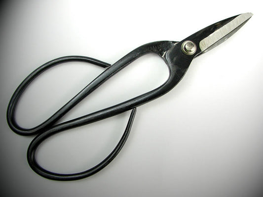 Bonsai Basics - General Purpose Bonsai Pruning Scissors 