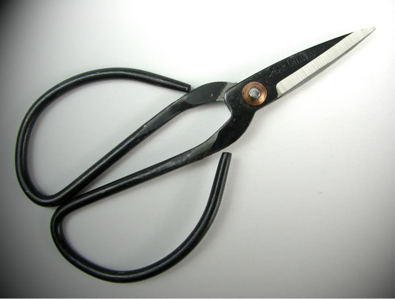 Bonsai Basics - Small Bonsai Pruning Scissors