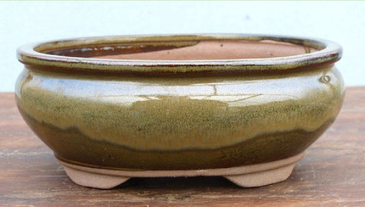 Olive Glazed Oval Bonsai Pot - 7" - Glaze may vary somewhat from photo.