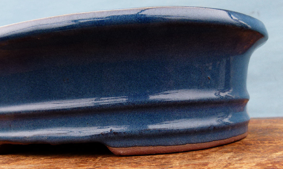 Bonsai Basics Blue Glazed Oval Bonsai Pot - 10"