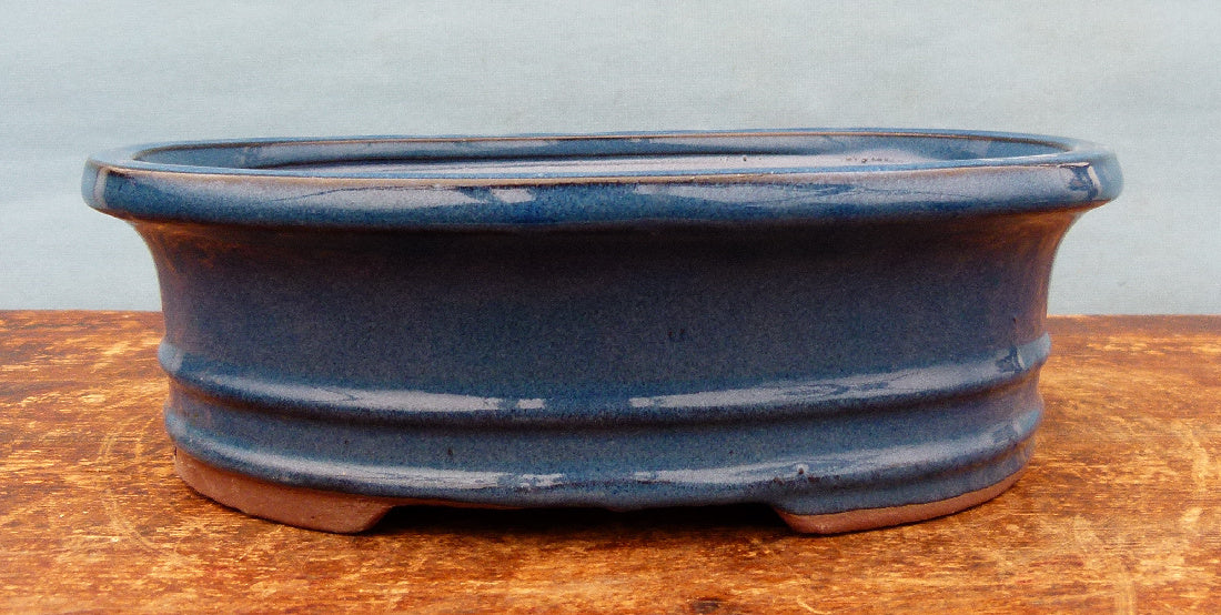 Bonsai Basics Blue Glazed Oval Bonsai Pot - 10"