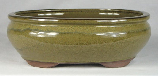 Olive Glazed Oval Bonsai Pot - 10 inch
Glaze colour may  vary somewhat from that shown.