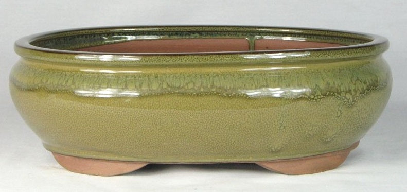 Olive Glazed Oval Bonsai Pot - 12" - Colour may vary slightly from that shown.