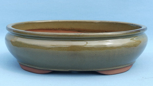 Olive Colour Glazed Oval Bonsai Pot - 14"