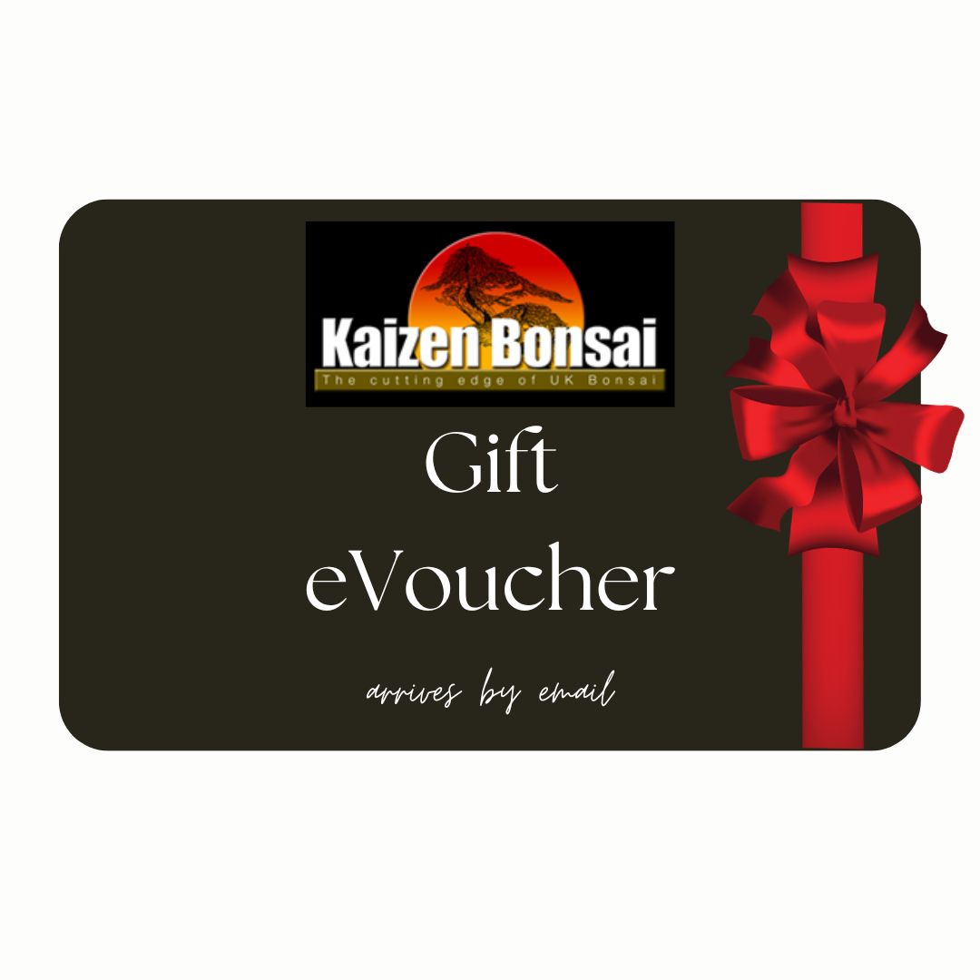 Bonsai Gift Voucher