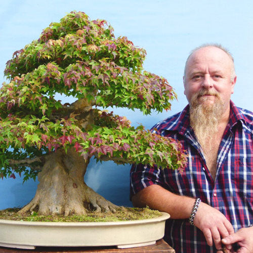 Graham Potter Bonsai Blog