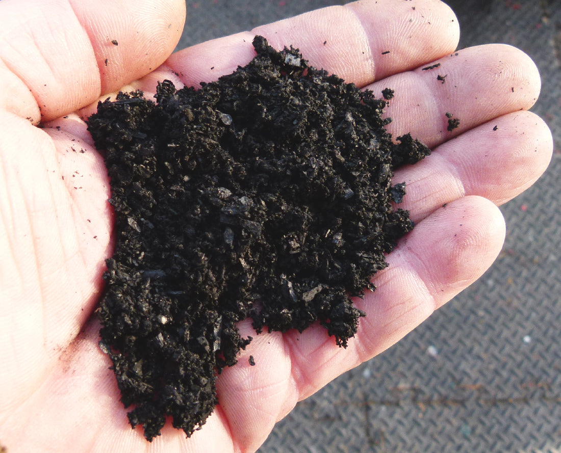 Green Dream Bonsai Biochar - Graded Horticultural Charcoal 0-8mm