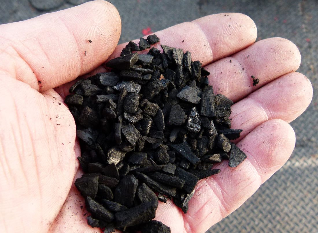 Green Dream Bonsai Biochar - Graded Horticultural Charcoal 2-8mm