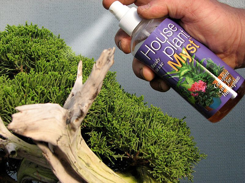 Bonsai Foliar Feed & Pest Repellent - House Plant Myst™