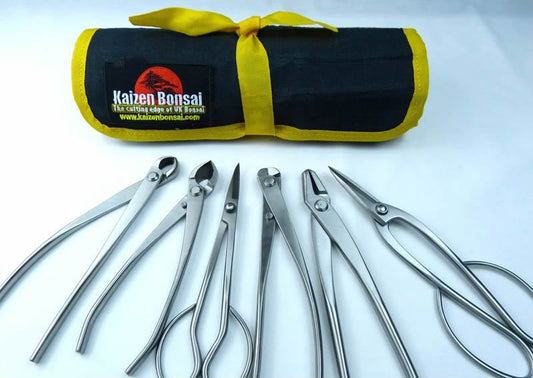 Bonsai Tools Kit - 6 Piece Set of Small Stainless Steel Tools