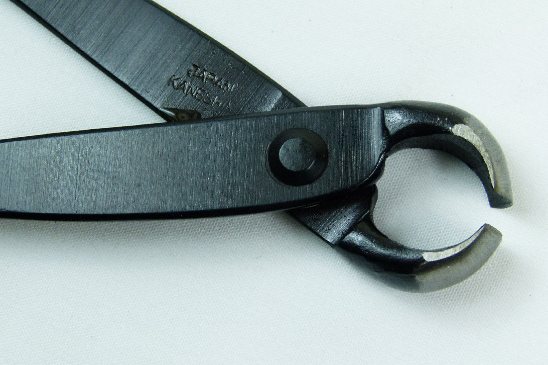 Kaneshin Small Bonsai Knuckle Cutter - Kaneshin Knob Cutter