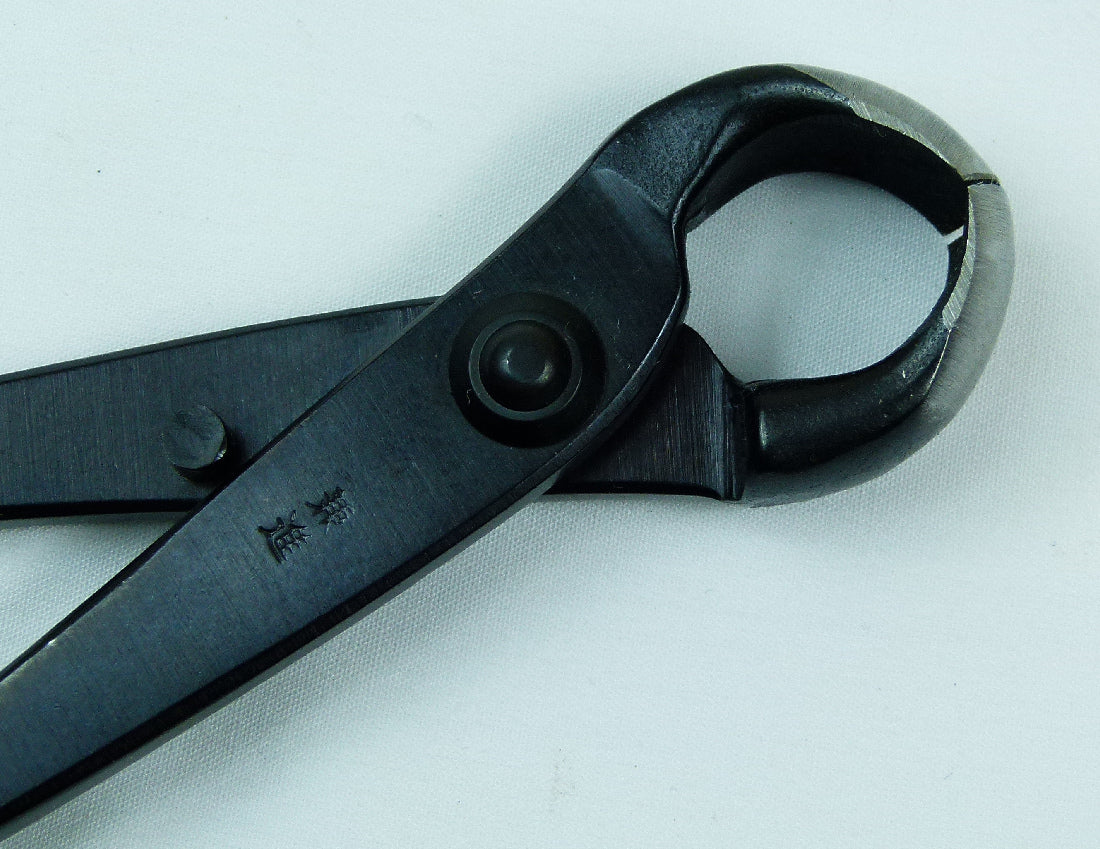 Kaneshin Large Bonsai Knuckle Cutter - Kaneshin Knob Cutter