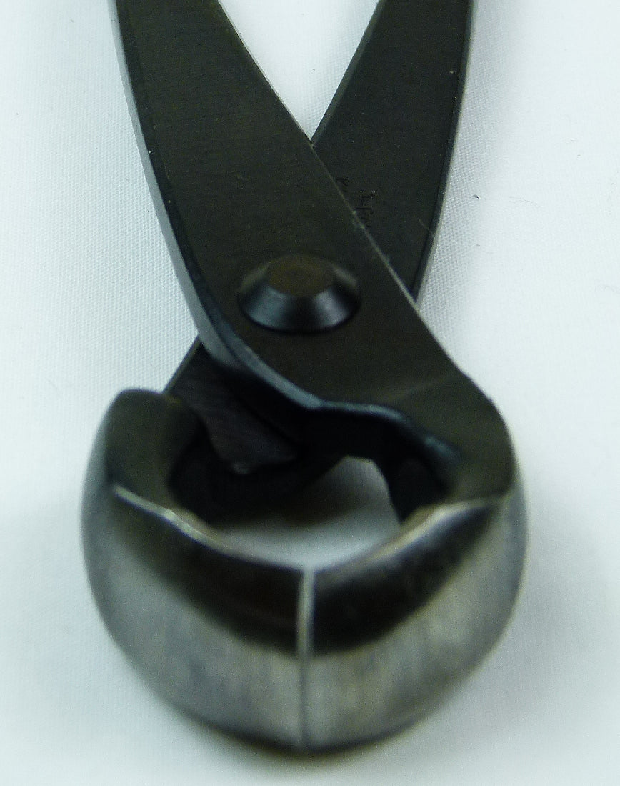 Kaneshin Large Bonsai Knuckle Cutter - Kaneshin Knob Cutter