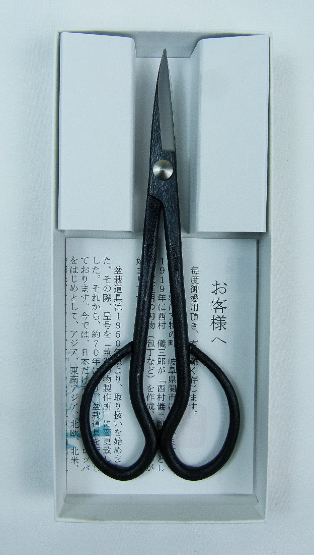 Kaneshin Bonsai Trimming Scissors - 35D - Blue Steel