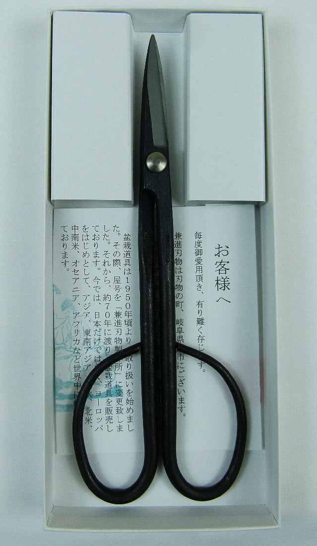 Kaneshin Bonsai Trimming Scissors Long Handle 38A Blue Steel