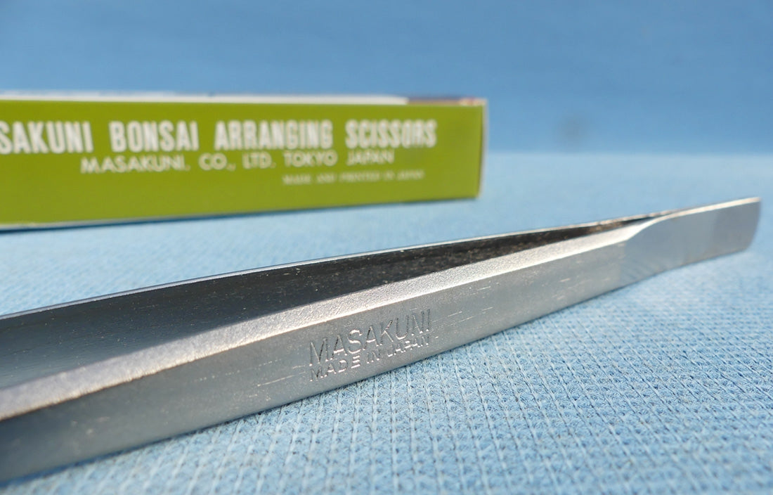 Masakuni #8812 Bonsai Tweezers - Pine Tweezers