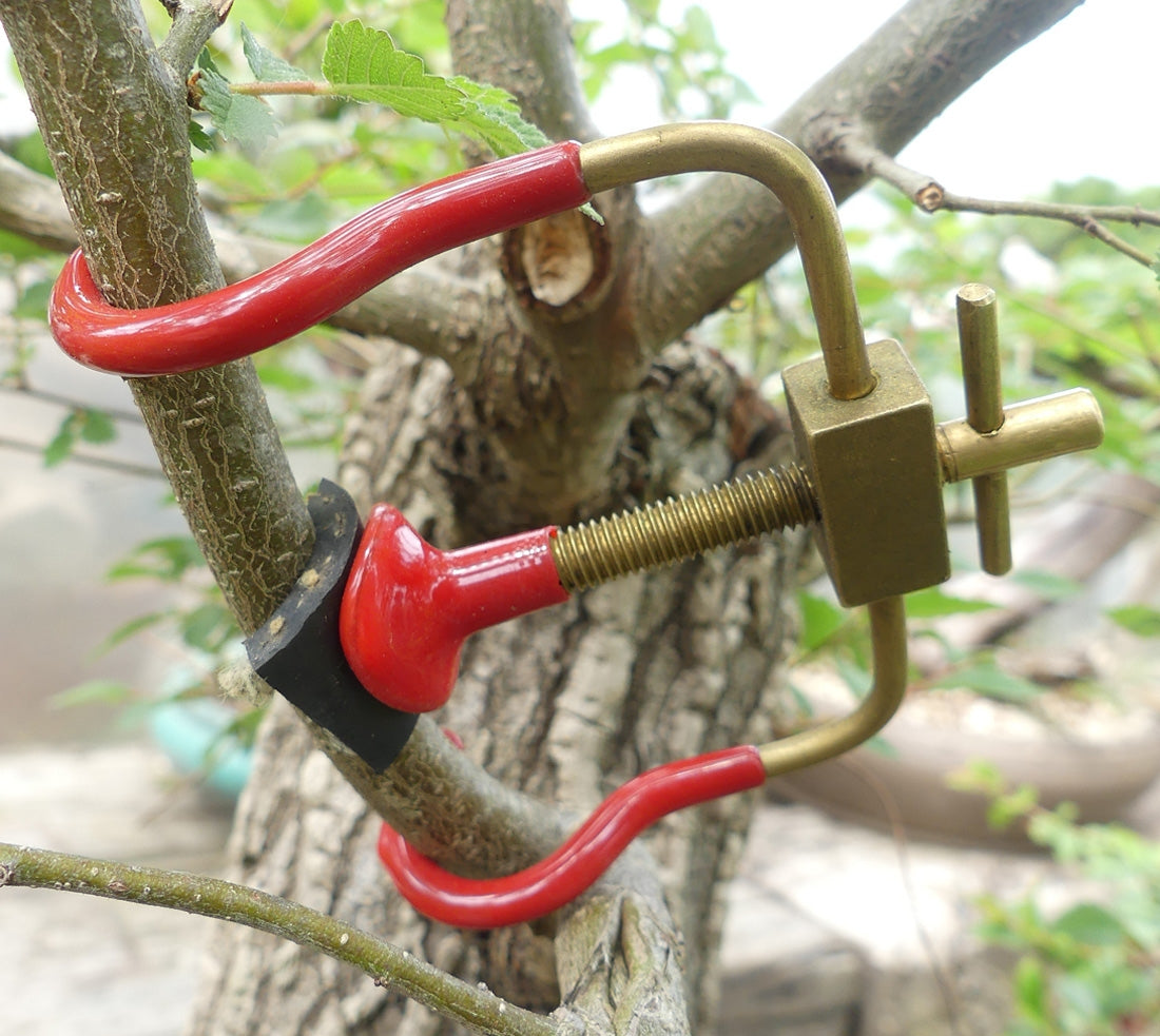 Branch Bending Clamp - Extra Large Bonsai Jack 