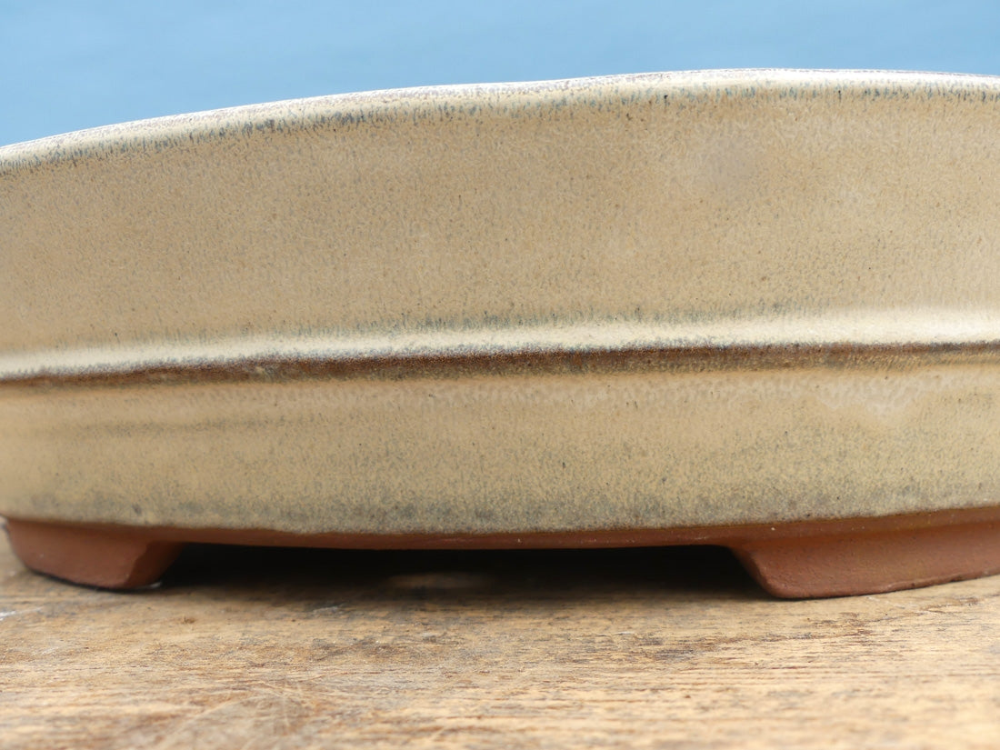 Cream Glazed Oval Bonsai Pot - 10". Colour and finish may vary somewhat from that shown.