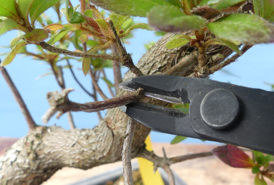 Bonsai Nipper - Twig