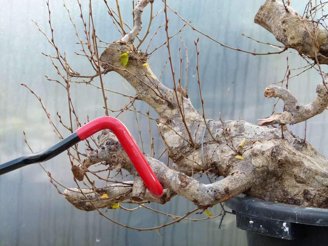 Bonsai Branch Bender - Bonsai Tools