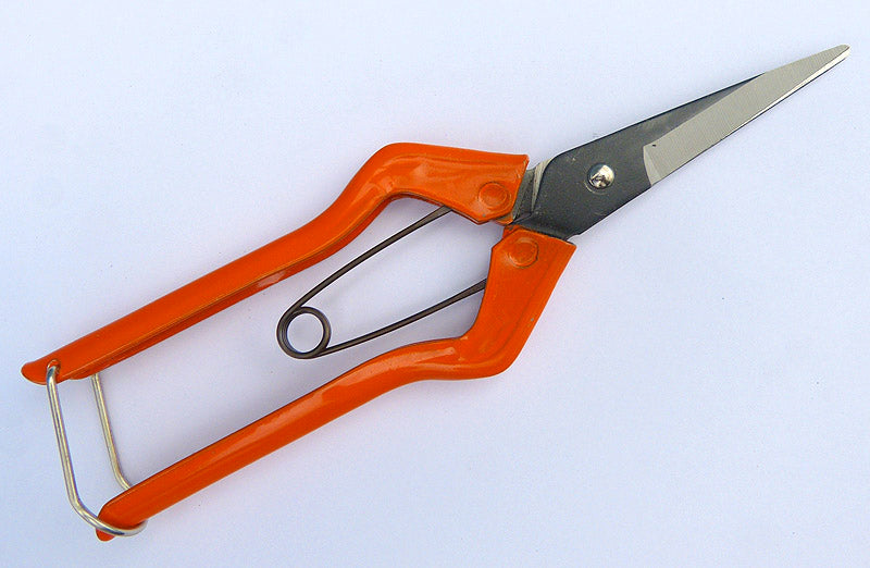 Bonsai Pruning Scissors - Vine/Bud Scissors - Spring Loaded Japanese