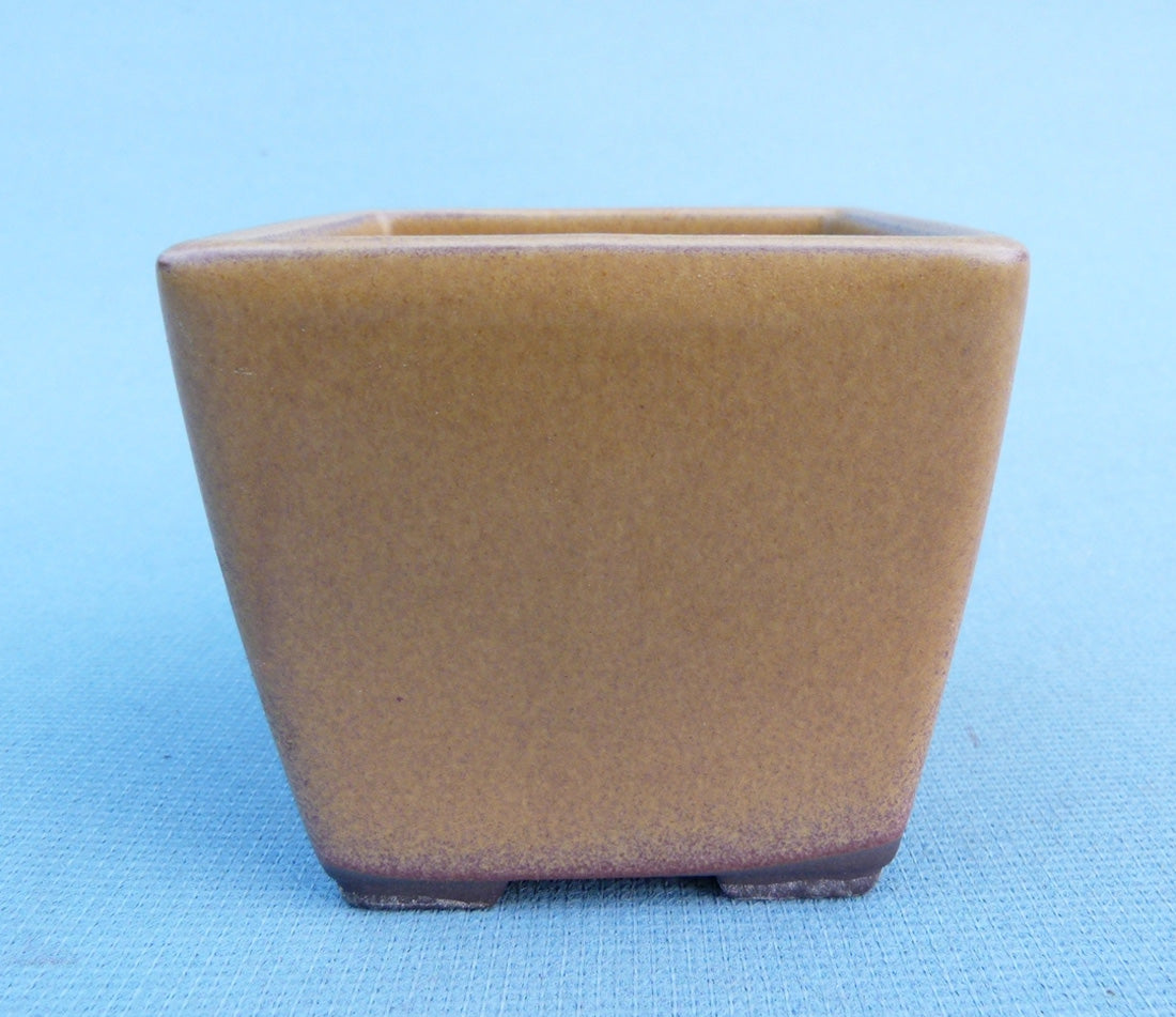 Deep Square Glazed Japanese Made Bonsai Pot - 3.5"