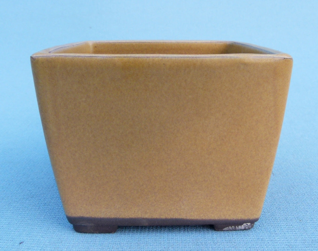 Deep Square Glazed Japanese Made Bonsai Pot - 4.5"