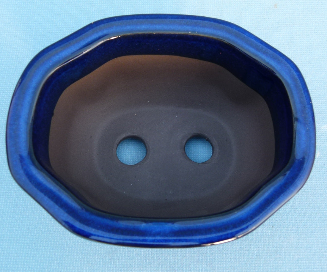 Oval Blue Glazed Japanese Made Bonsai Pot - 6.5"