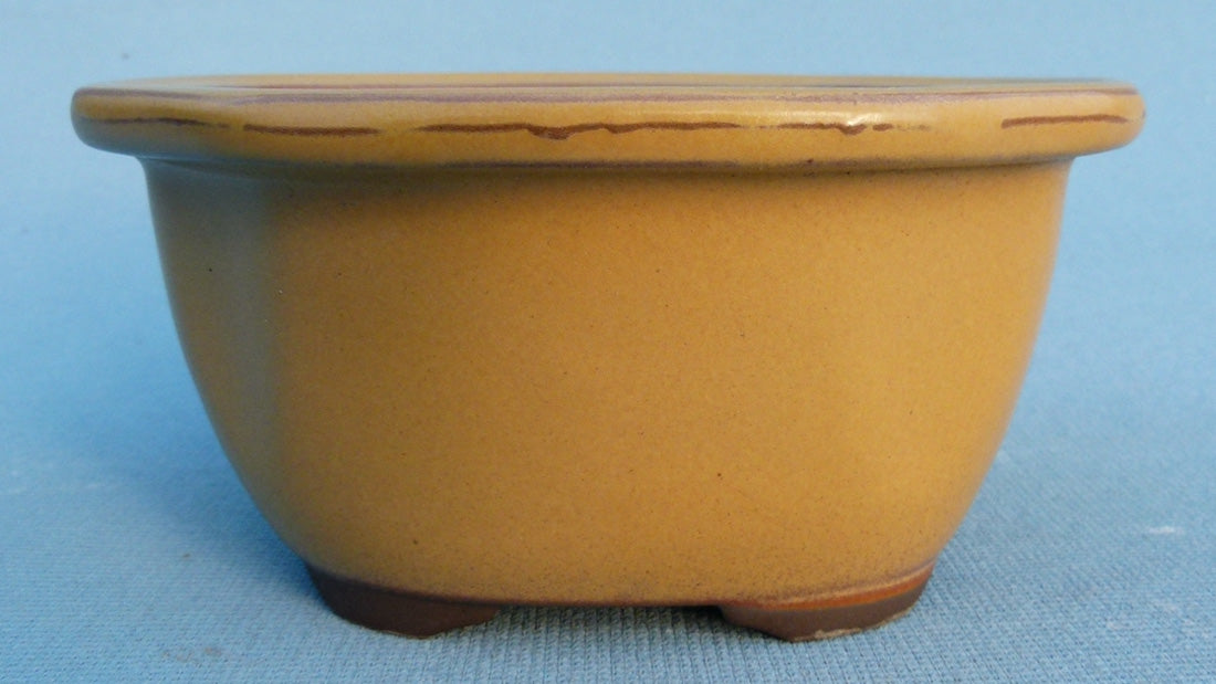 Oval Glazed Japanese Made Bonsai Pot - 6.5"