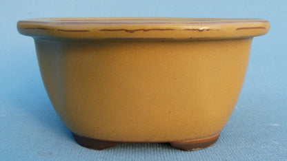 Oval Glazed Japanese Made Bonsai Pot - 6.5"