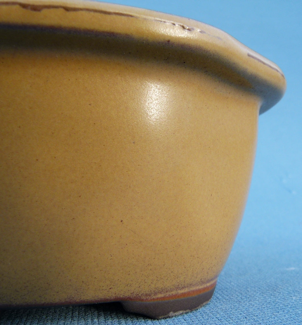 Oval Glazed Japanese Made Bonsai Pot - 6.5"