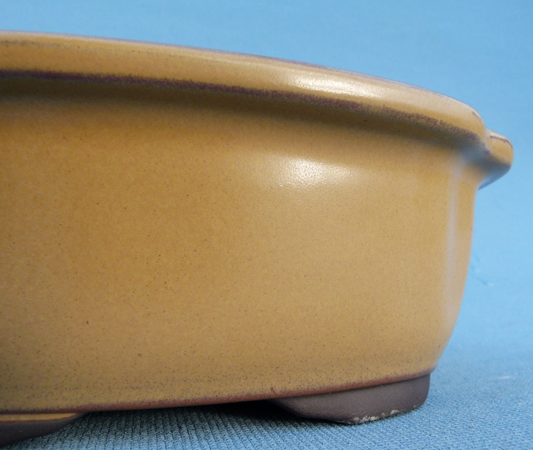 Oval Glazed Japanese Made Bonsai Pot