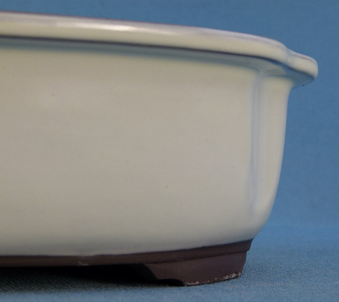 Oval Cream Glazed Japanese Made Bonsai Pot - 11"