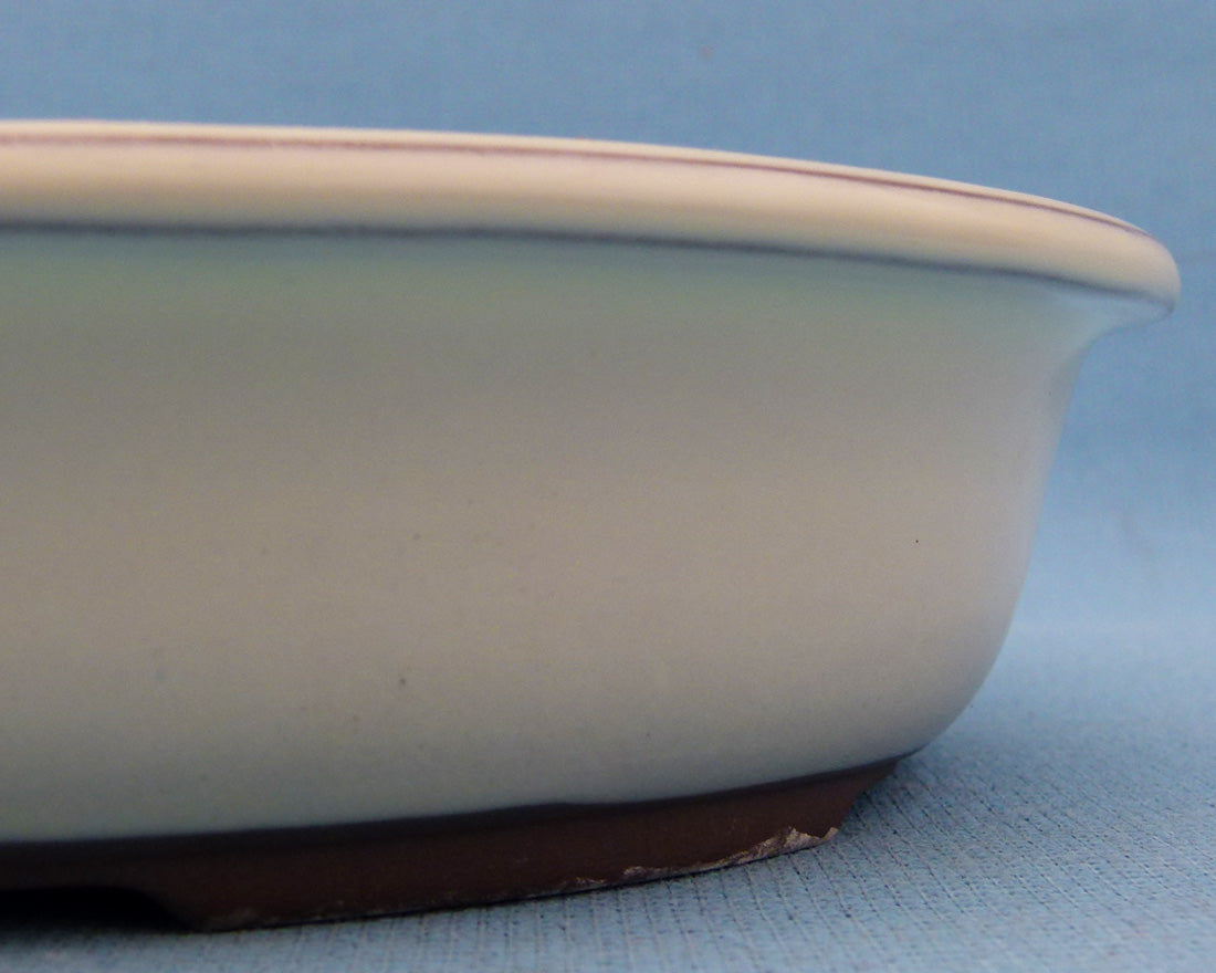 Japanese Made Quality Cream Glazed Oval Bonsai Pot - 11"