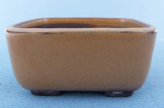 High Quality Japanese Glazed Rectangular Bonsai Pot - 3"