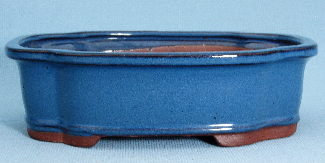 Bonsai Basics Blue Glazed Oval Bonsai Pot - 10"