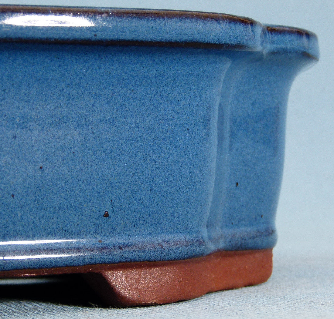 Bonsai Basics Blue Glazed Oval Bonsai Pot - 10"