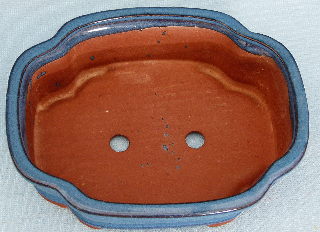 Bonsai Basics Blue Glazed Oval Bonsai Pot - 10"