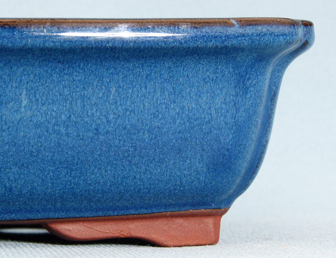 Bonsai Basics Blue Glazed Rectangular Bonsai Pot - 10"