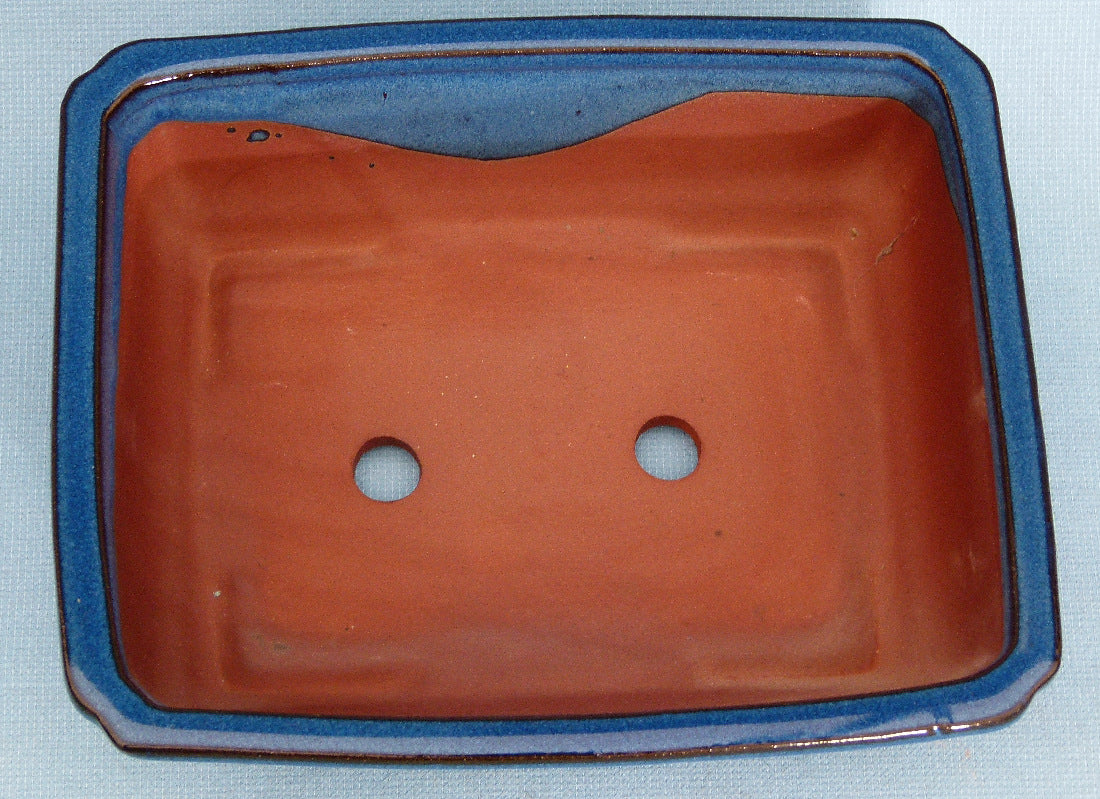 Bonsai Basics Blue Glazed Rectangular Bonsai Pot - 10"